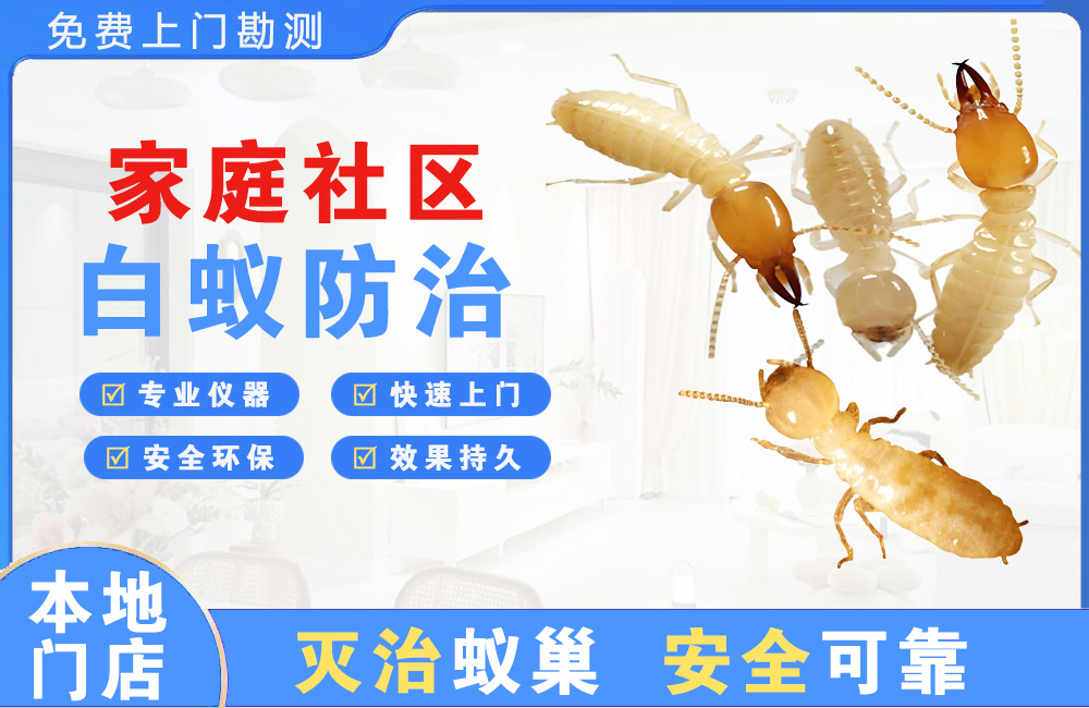 宜州家庭社区白蚁防治