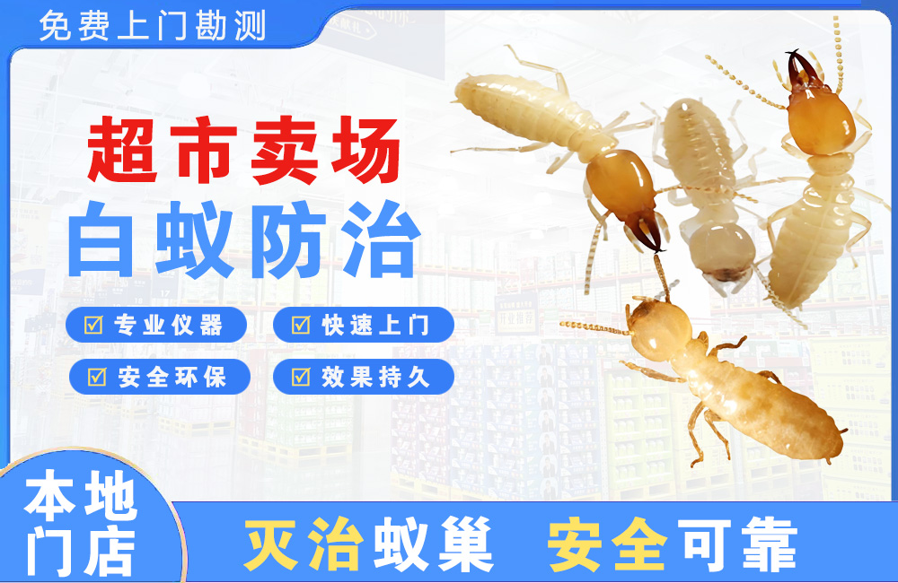 宜州超市卖场白蚁防治