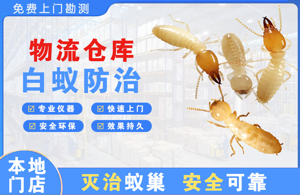 宜州物流仓库白蚁防治