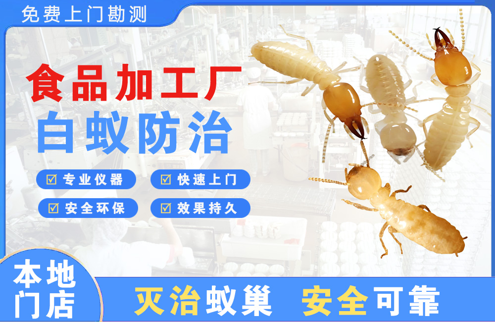 宜州食品加工厂白蚁防治