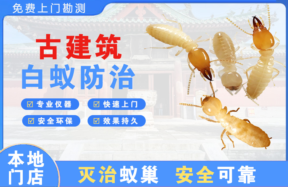 宜州古建筑白蚁防治