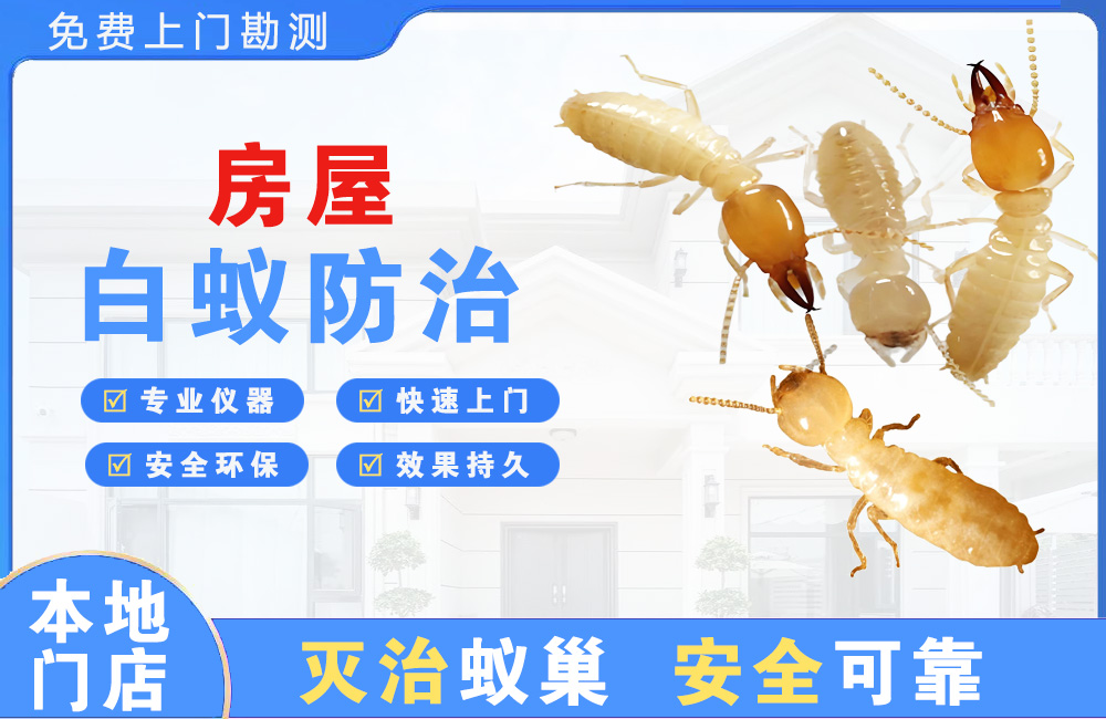 宜州房屋白蚁防治