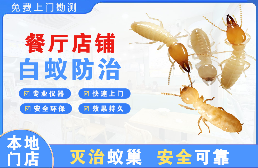 宜州餐厅店铺白蚁防治